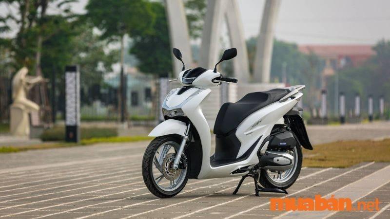 Mẫu xe SH 2019 cũ tại TP.HCM