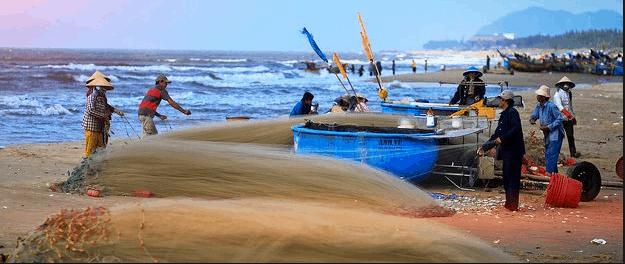 Dánh sách 7 chợ tốt Vũng Tàu để mua hải sản tươi ngon “cực” giá rẻ