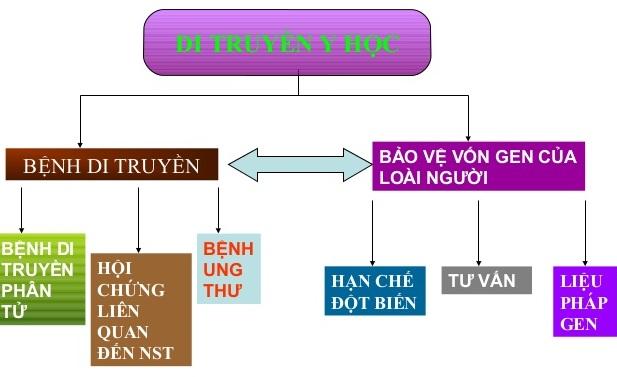 Các thành phần của di truyền y học