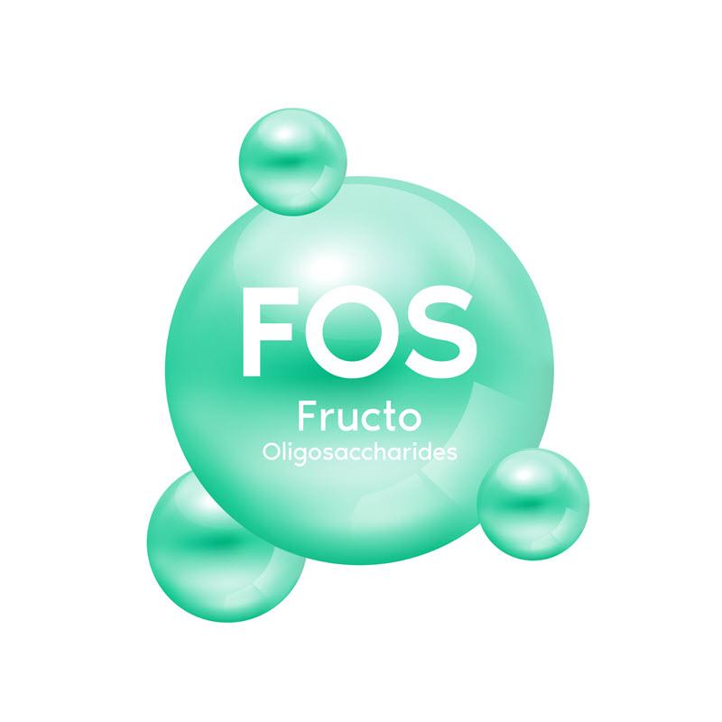 fructo oligosaccharide là gì