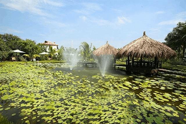 Một ngày ở Nông Trang Xanh Củ Chi, Sài Gòn (Green Noen)