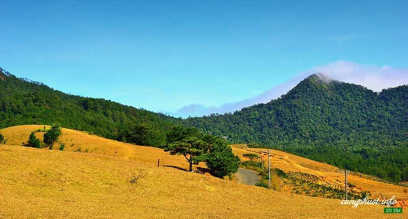 Kinh nghiệm du lịch Đà Lạt (Cập nhật 07/2024)