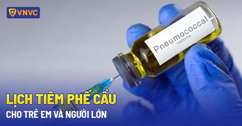 lịch iêm phế cầu