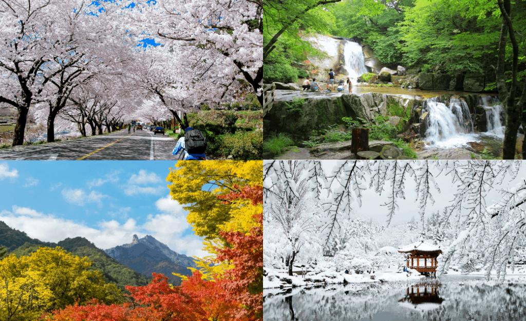 Du lịch Hàn Quốc mùa nào đẹp? - Thời tiết và cảnh vật