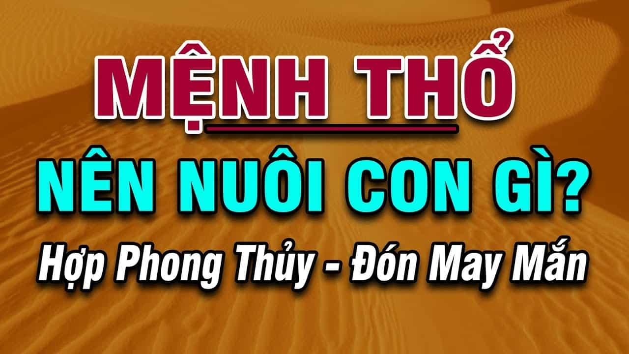 mệnh Thổ nuôi con gì hợp phong thủy