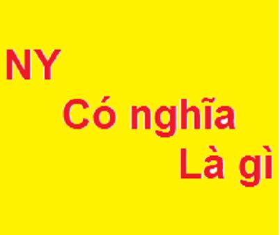 Giải nghĩa từ "Ny là gì", tại sao hay được sử dụng ?