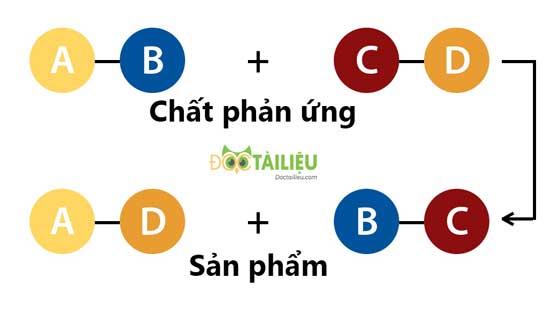 Sơ đồ phản ứng trao đổi