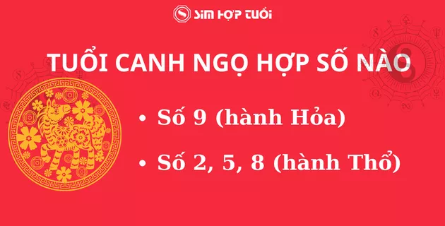 1990 hợp số nào? Giải mã con số hợp tuổi Canh Ngọ theo ngũ hành