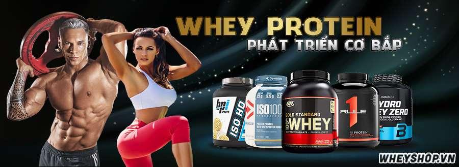 Whey Protein