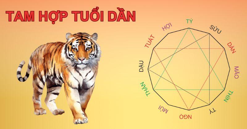 Tuổi Dần tam hợp với tuổi gì?