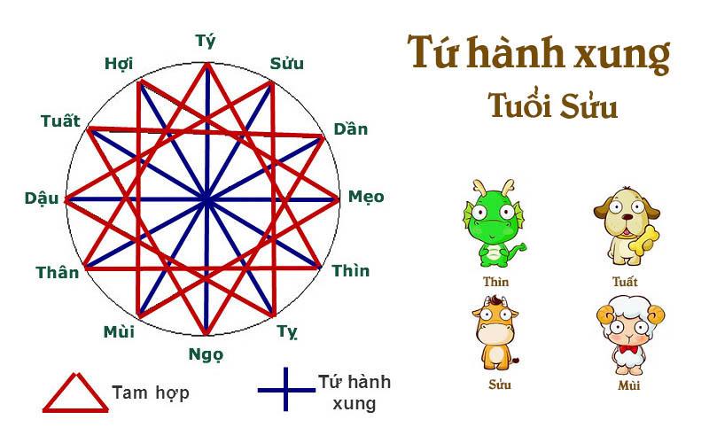 Tất tần tật cách hóa giải tứ hành xung tuổi Sửu, tam hợp tuổi Sửu