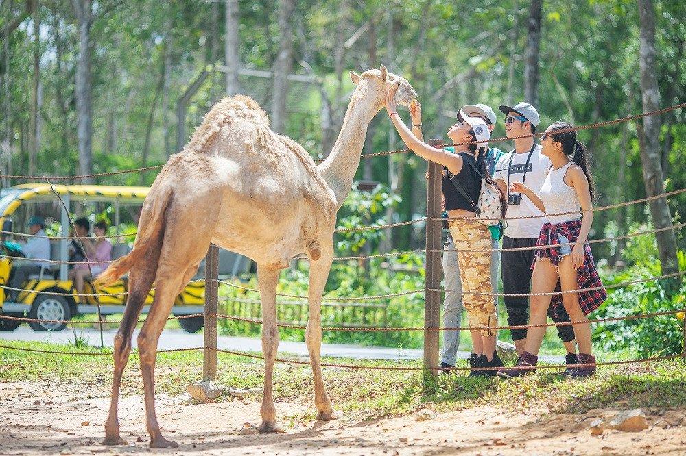 Vinpearl Safari Phú Quốc có gì?