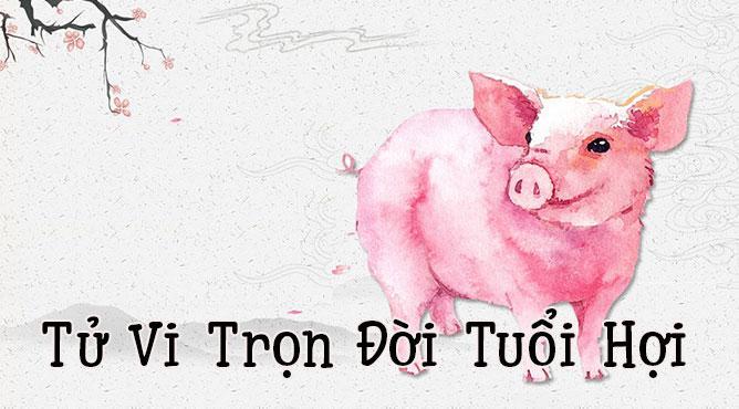 tử vi trọn đời tuổi hợi