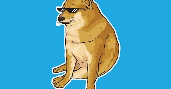 Meme chó shiba inu nổi tiếng CĐM là ai? Top ảnh chó shiba bựa hài hước