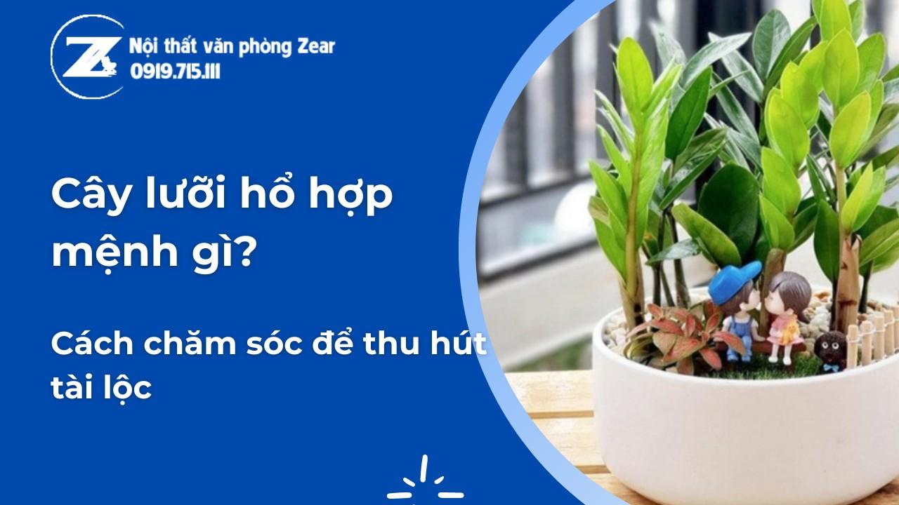 cây lưỡi hổ hợp mệnh gì