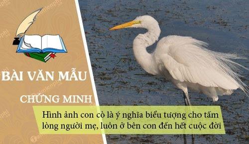 Tường trình về hình ảnh con cò như biểu tượng tâm hồn của người mẹ, lúc nào cũng hiện hữu bên con suốt cuộc đời.