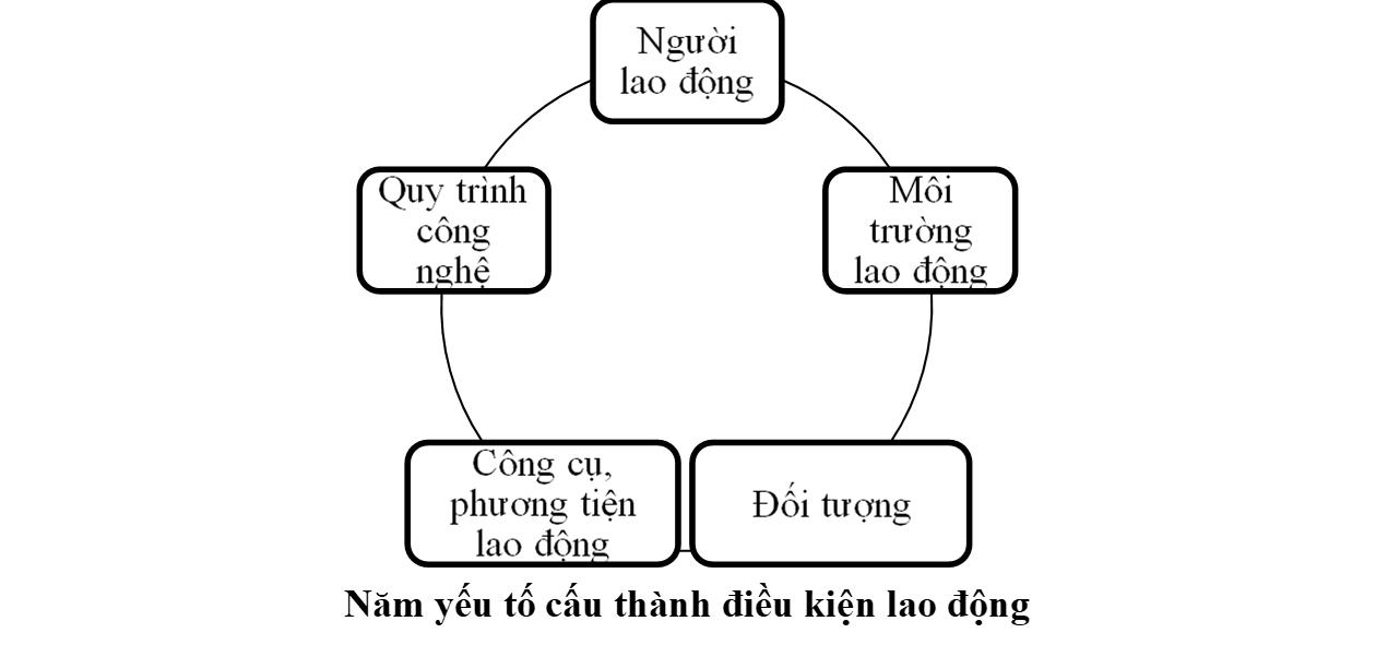 Năm yếu tố cấu thành điều kiện lao động