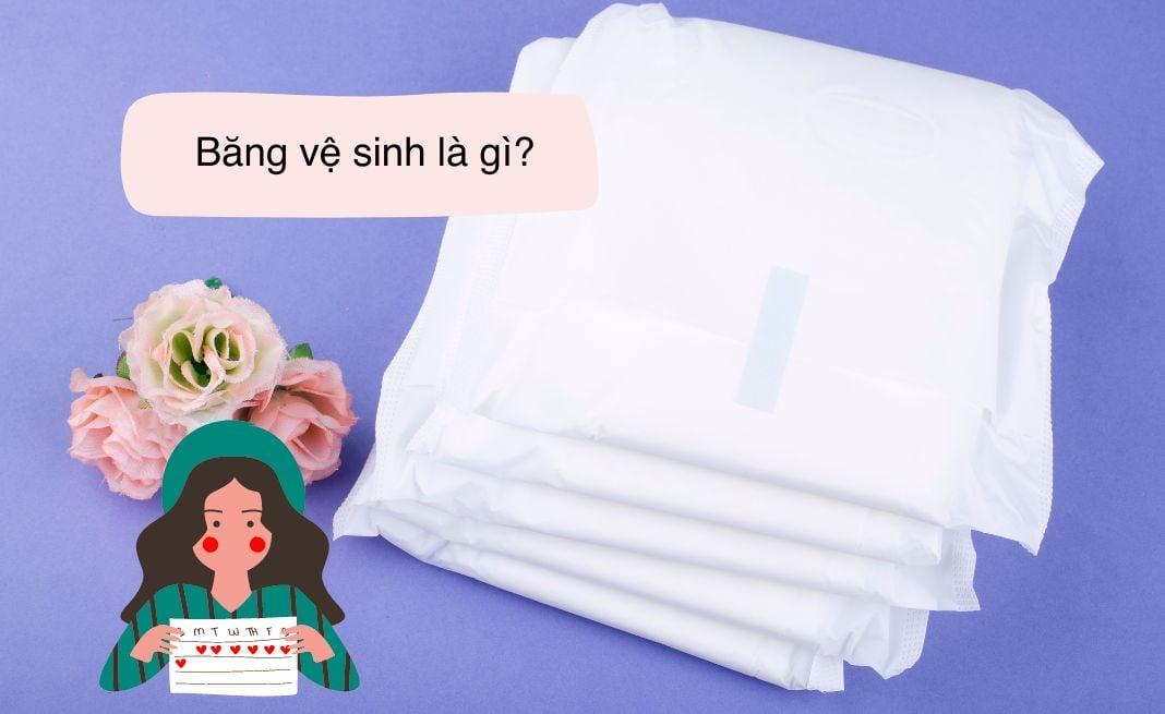 Băng vệ sinh là miếng lót thấm hút trong chu kỳ kinh nguyệt