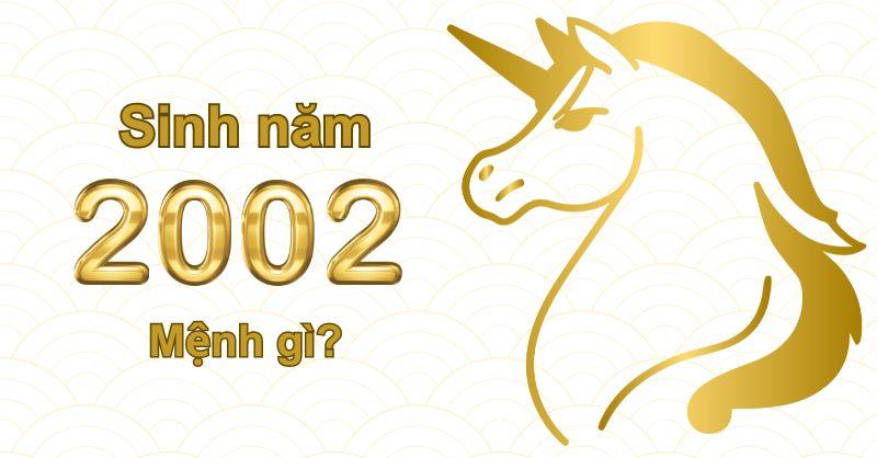 Sinh năm 2002 mệnh gì