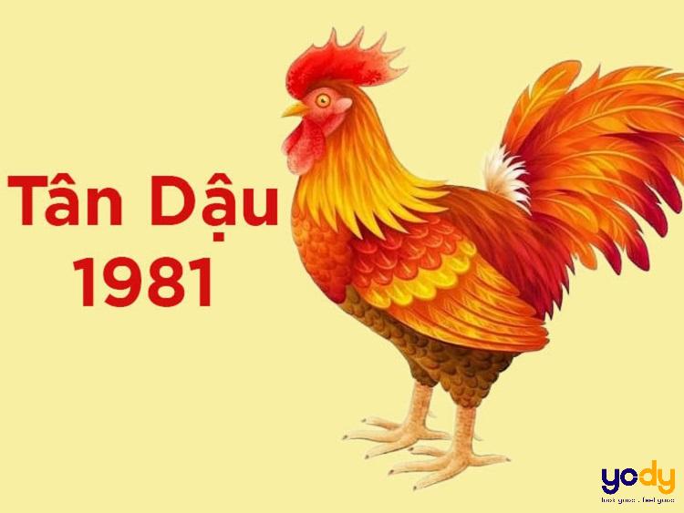 Tân Dậu 1981 mệnh gì? Hợp mệnh, màu, hướng và cung nào?