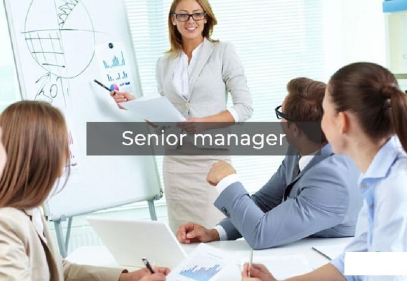 Senior Manager là gì?