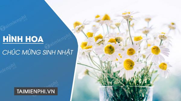 Bộ sưu tập ảnh hoa mừng sinh nhật đẹp