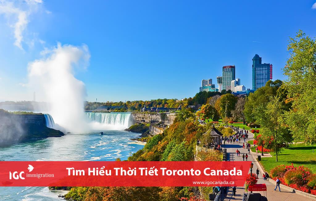 Tìm Hiểu Thời Tiết Tại Toronto Canada Trước Khi Đến