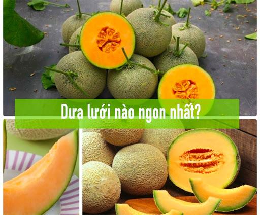 Dưa lưới nào ngon nhất? Các loại giống dưa lưới phổ biến hiện nay