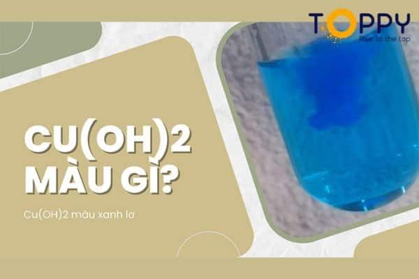 Cu(OH)2 H2SO4 | Phương trình Cu(OH)2 + H2SO4 → CuSO4 + H2O