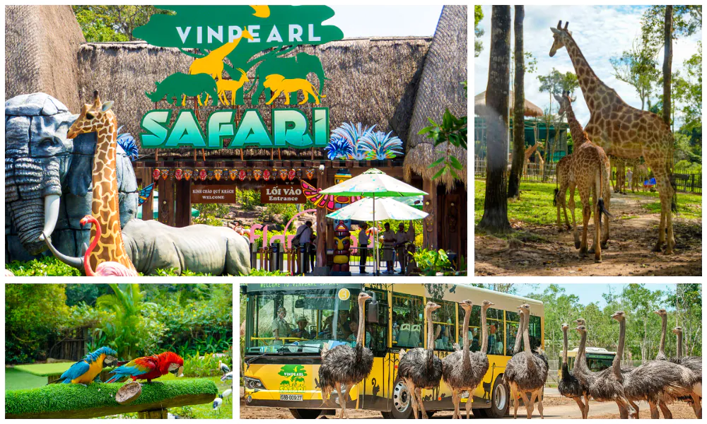 safari-phu-quoc.webp