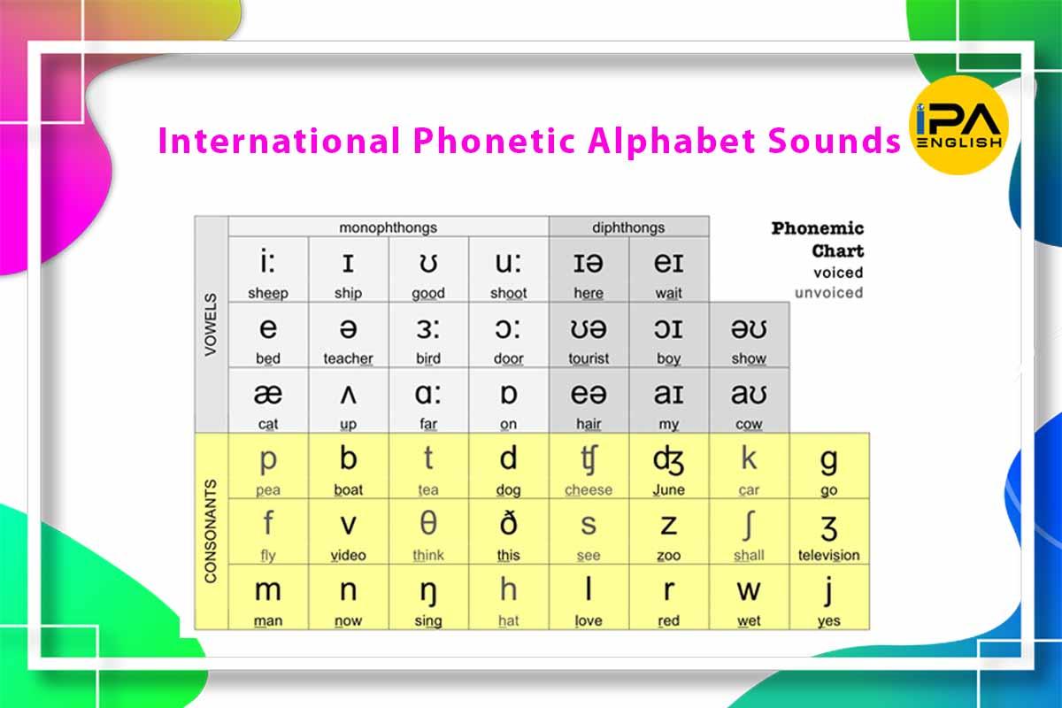 Luyện phát âm Bảng phiên âm tiếng Anh IPA – Đầy đủ 44 âm