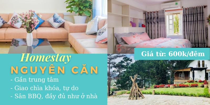 10 homestay view núi đồi, view rừng thông, săn mây đẹp nhất ở Đà Lạt