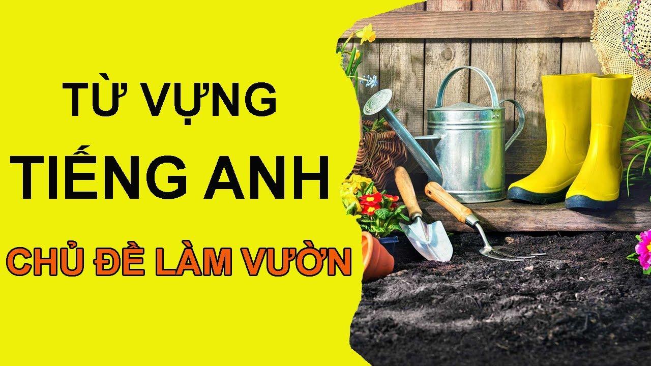 Từ vựng tiếng Anh chủ đề làm vườn thông dụng nhất