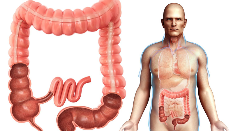 Mách bạn những loại nước ép thải độc đại tràng an toàn và hiệu quả