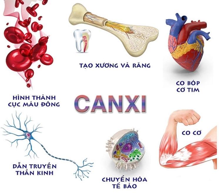 Thiếu canxi