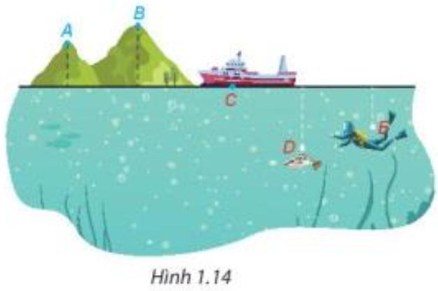 Toán 7 (Kết nối tri thức): Bài tập cuối chương 1 trang 25