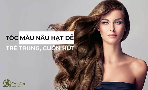 999+ kiểu tóc màu nâu hạt dẻ trẻ trung, cuốn hút chị em yêu thích hàng đầu