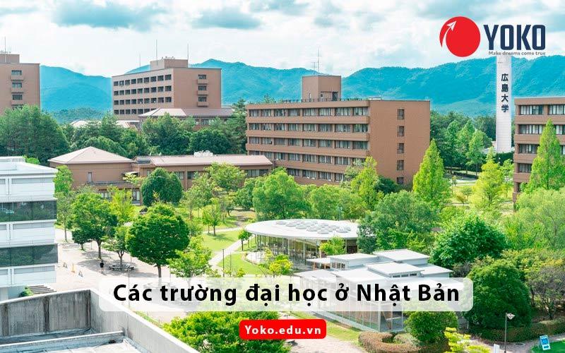 TOP 15 các trường đại học ở Nhật bản cho du học sinh