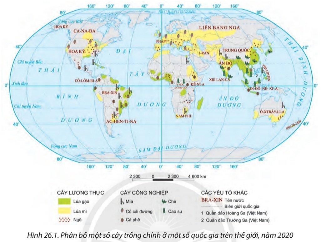 Bài 26. Địa lí các ngành nông nghiệp, lâm nghiệp, thủy sản SGK Địa lí 10 Chân trời sáng tạo