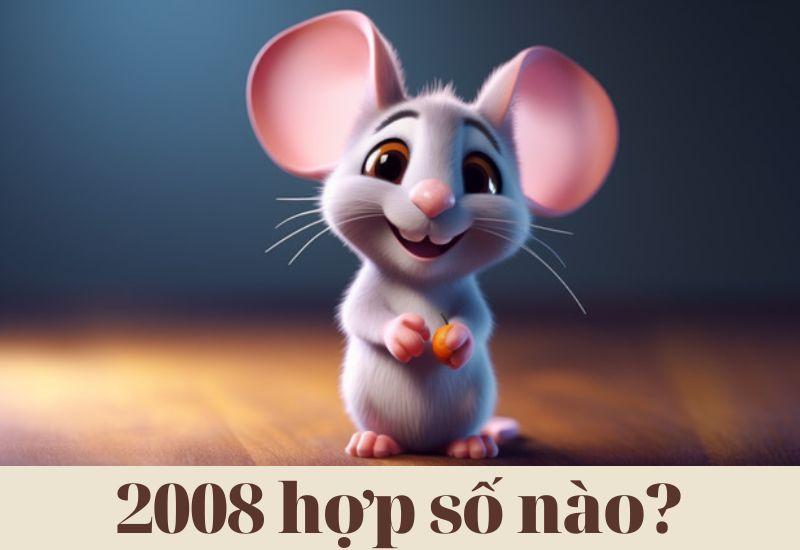 Bạn có biết 2008 hợp số nào, kỵ số nào theo phong thủy?