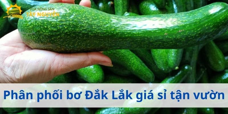 Bán bơ giá sỉ Đắk Lắk