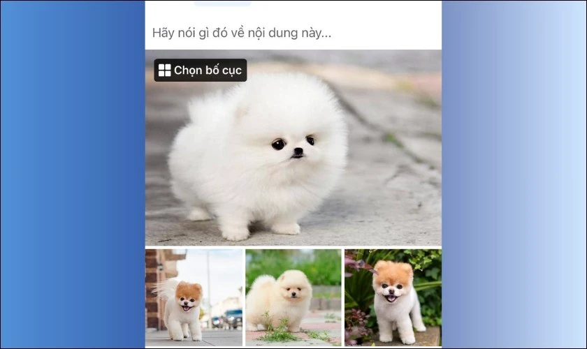 Bố cục ảnh cổ điển