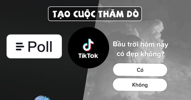 Cách tạo bình chọn trên TikTok đơn giản, hiệu quả