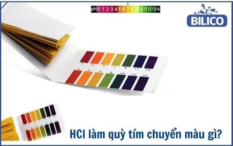 HCl-lam-quy-tim-chuyen-mau-gi-1