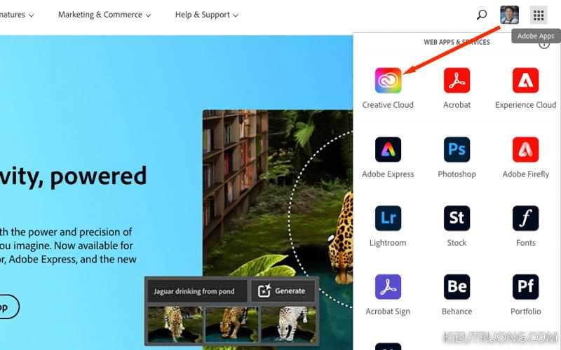 Nhấn vào Creative Cloud trước khi tải illustrator