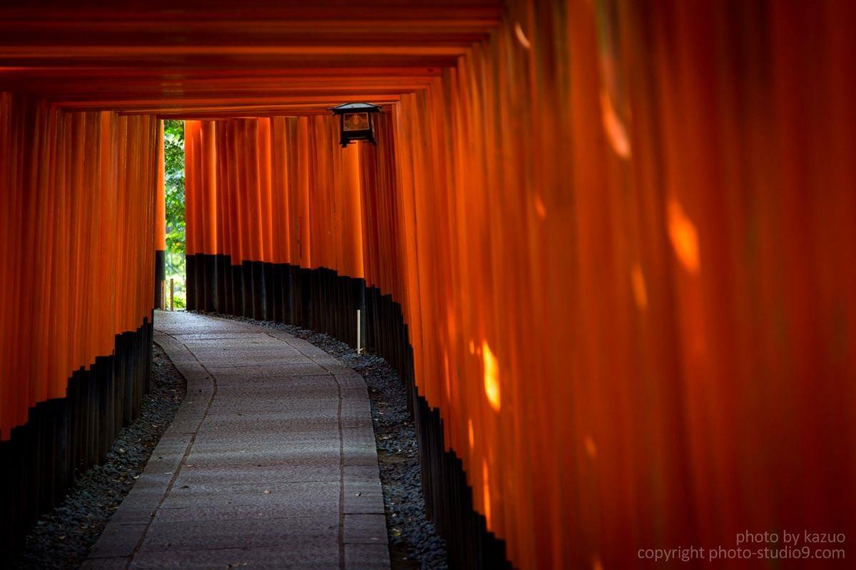 Torii trình bày bố cục