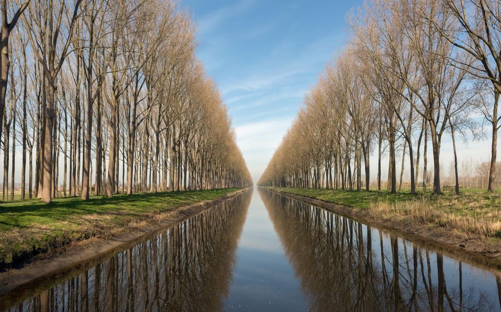 Kênh Damse Vaart ở làng Damme gần Bruges ở Belgium