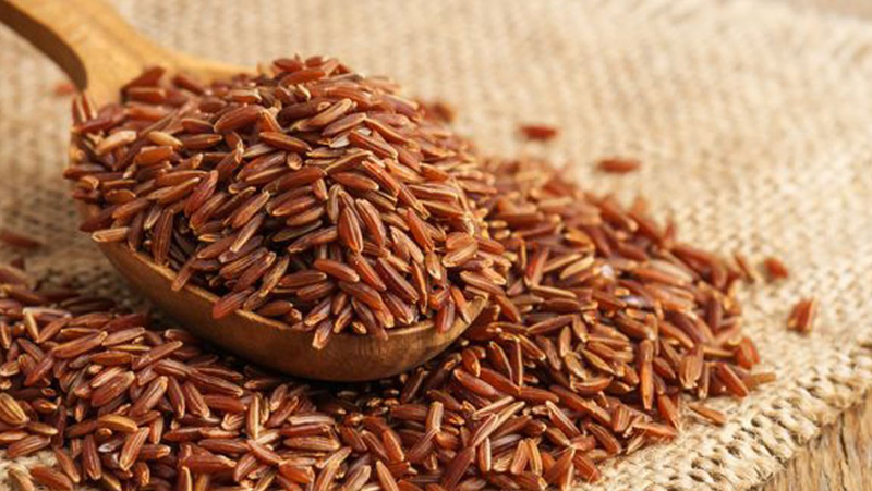 Cách bảo quản cơm gạo lứt đã nấu đúng chuẩn nhất 1