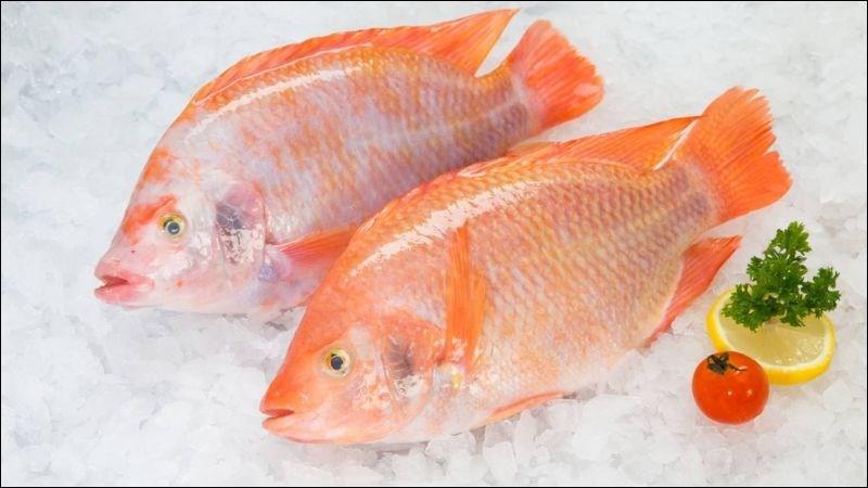 100g cá diêu hồng cung cấp khoảng 96 calo