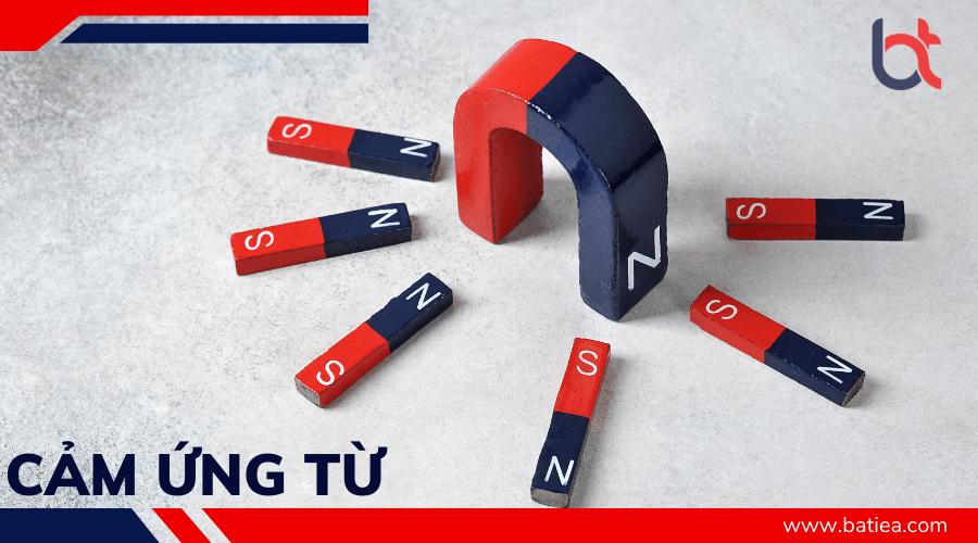Cảm ứng từ